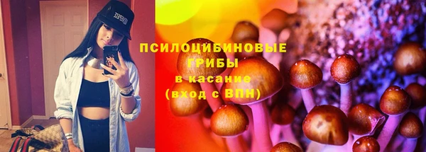 дурь Пролетарск