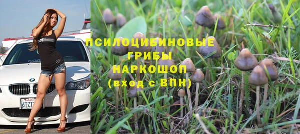 ECSTASY Приозерск