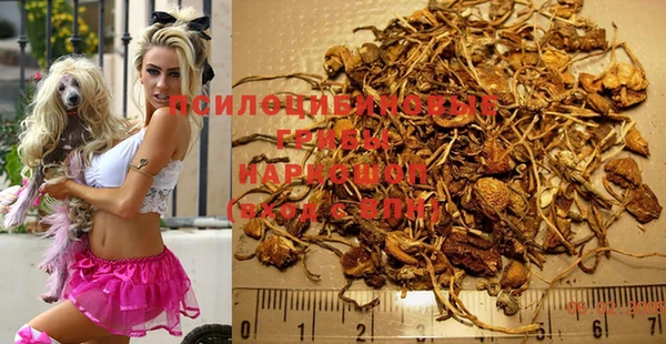 ALPHA-PVP Нефтегорск