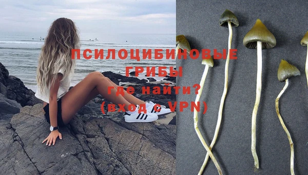 ALPHA-PVP Нефтегорск