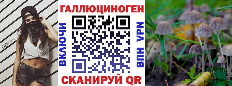Псилоцибиновые грибы Cubensis Каневская